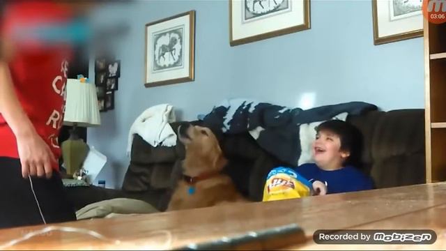 ШОК !! Животные защищают детей и своих детеношей смотреть онлайн