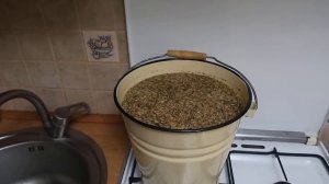 Как выращивать еринги  в домашних условиях.