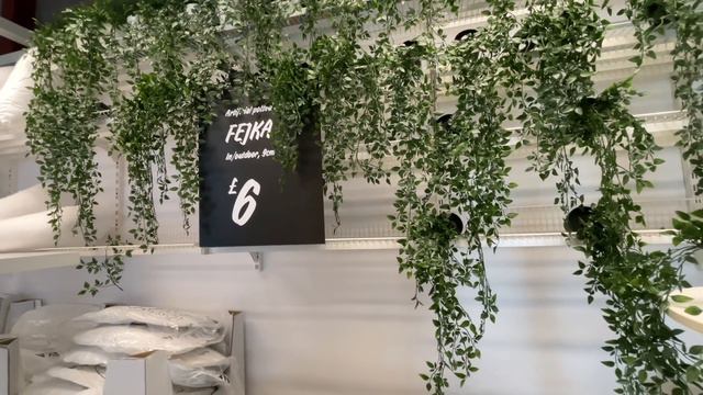 Plant Shopping Fail | What I Eat In A Day