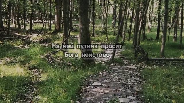 Путь к счастью Стихотворение о жизни смотреть онлайн