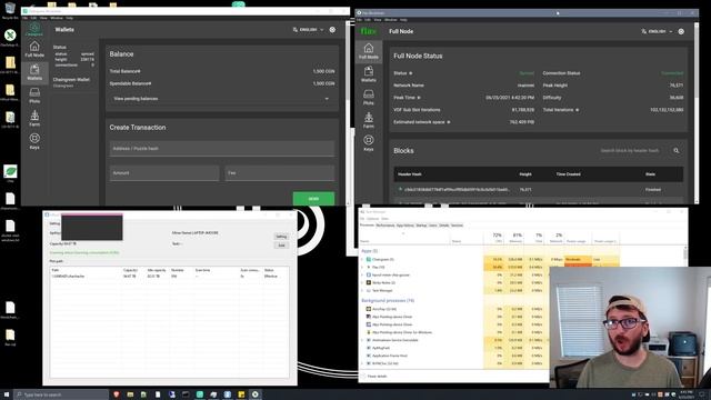 Flax Coin + Chaingreen Chia Fork Farming Update - Wallet Sync, Hpool Plot Issue + Early WINS! смотреть онлайн