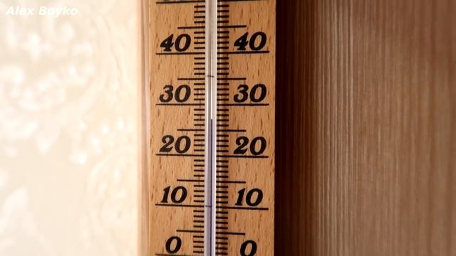 Как я чуть не потерял всех своих муравьев и почему это произошло! alex boyko смотреть онлайн