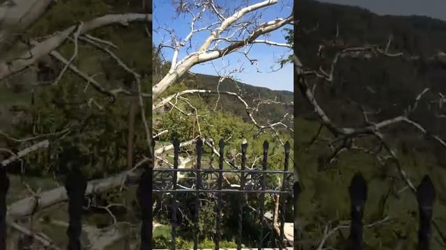 Места Кипра Монастырь иконы божьей матери Троодитиса смотреть онлайн