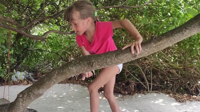 Учимся лазать по деревьям 2. смотреть онлайн