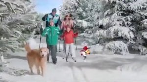 Мульти табс реклама та маркетинг