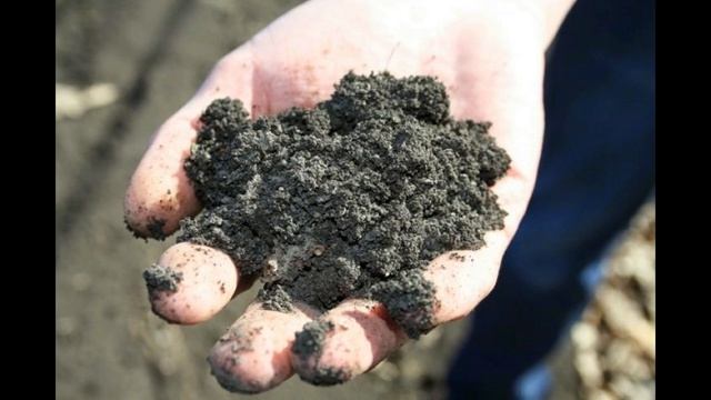 Обращение к аудитории. Это важно, посмотри смотреть онлайн