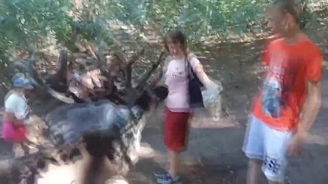 Сочи. Гора Ахун и местные достопримечательности. смотреть онлайн