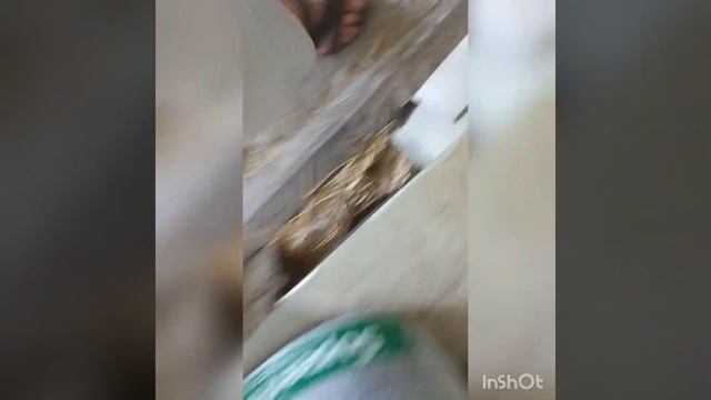 я с сома и Настей играем кто первым выйдет получит 35 поджопников подпишись смотреть онлайн