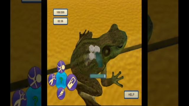 Pet Pals Animal Doctor Review Wii смотреть онлайн