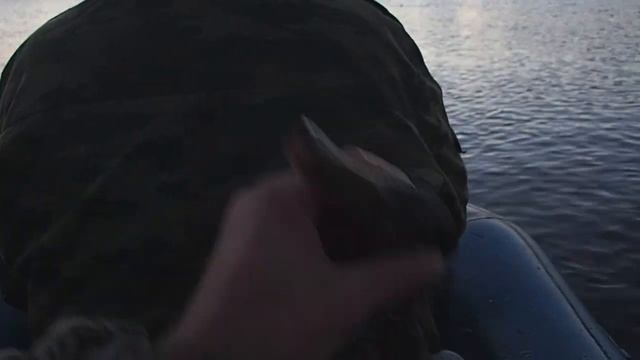 спонтанный выезд на охоту за утккой вечерняя и утренняя зорька смотреть онлайн