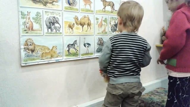 УЧИМ ЖИВОТНИХ. ХИЩНИКОВ ТРАВОЯДНЫХ РАЗВИВАЮЩИЕ ЗАНЯТИЕ смотреть онлайн