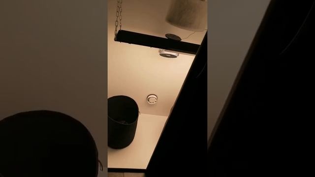 Гроубокс под ключ смотреть онлайн