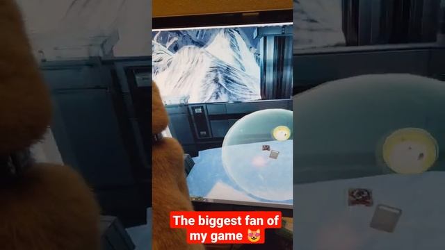 My cat loves my game ? смотреть онлайн