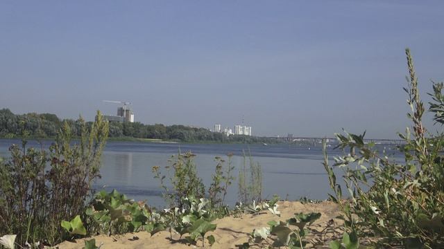 лето пляж саксофон смотреть онлайн