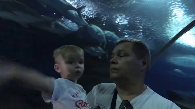Underwater World Pattaya - океанариум в Паттайе
