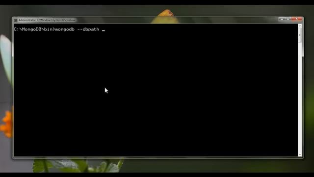 Installing MongoDB On Windows7 смотреть онлайн