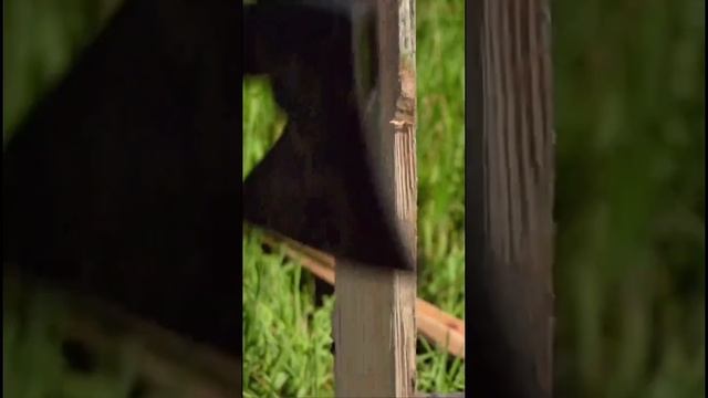 Универсальный топор RAGE by VIRA для рубки веток и стволов деревьев #топор #инструменты #садогород смотреть онлайн