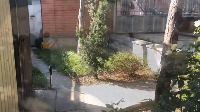 Голова для «жирафа» смотреть онлайн