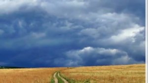 "Праздник Жатвы"  - Алла Чепикова и Виктор Шатецкий.