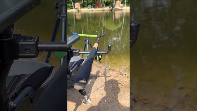 Небольшой совет при ловле карпа #фидер #рыбалка #карп