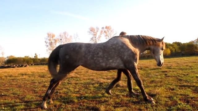 Нужно переснять видеo смотреть онлайн