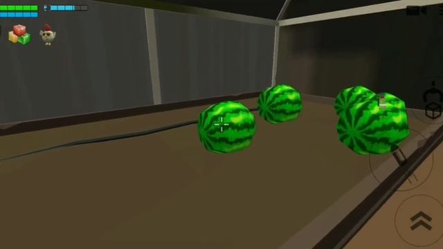 как проводят свои каникулы в деревне и в городе