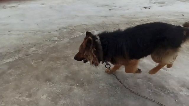 Камышин. Аквапарк.(01.03.21). смотреть онлайн