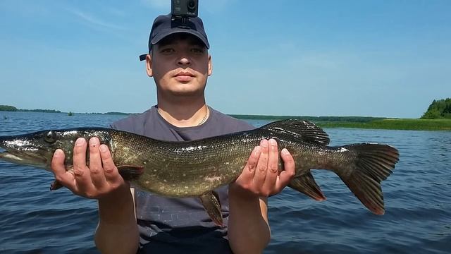 Рыбалка.Спиннинг.Чебоксарское водохранилище!!! смотреть онлайн