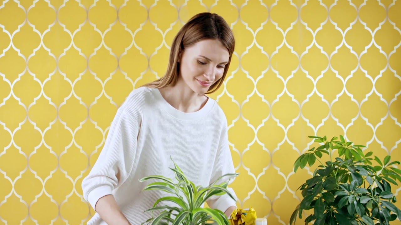 Econova пластиковые ящики Grand Box смотреть онлайн
