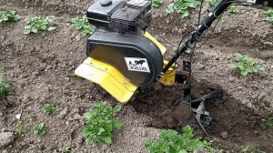 Окучиваем картофель мотокультиватором