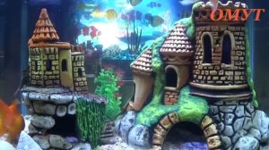 401. ВСЁ ПРОШЛО ДОСТОЙНО РОДНЫЕ!!!