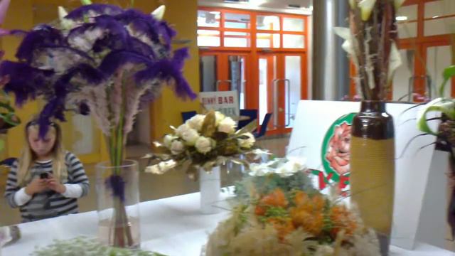 VICTORIA REGIA Piešťany 26.9.2010 смотреть онлайн