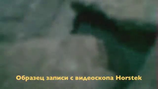 Образец записи видеоскопа Horstek VS 319 W