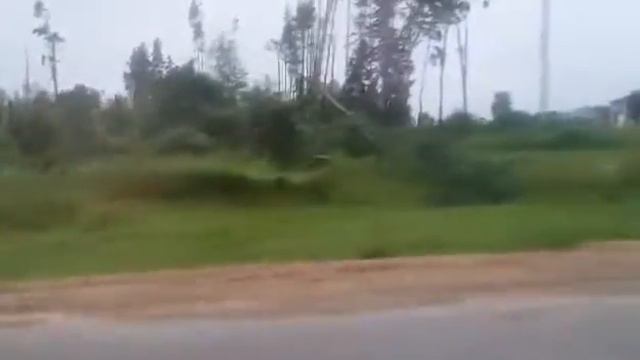 Ураган в Орше 13.07.2016 смотреть онлайн