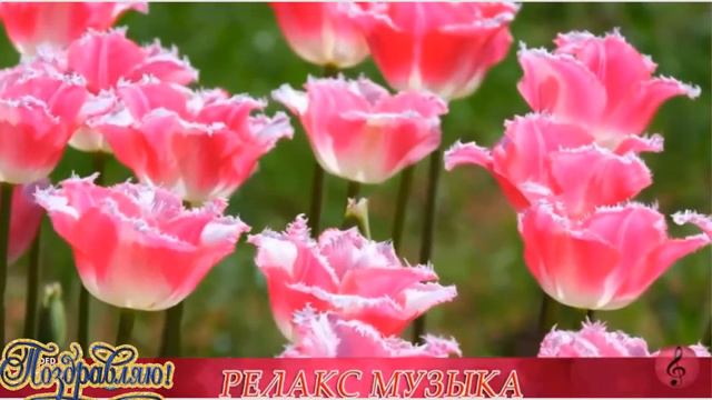 С праздником 8 марта вас Аня!! смотреть онлайн