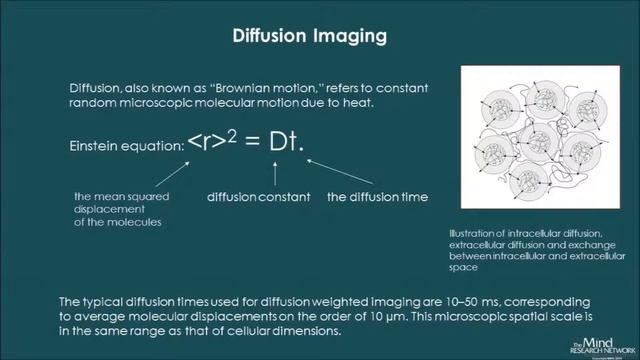 Yirong Yang Ph.D. - Mind Research Network lecture смотреть онлайн