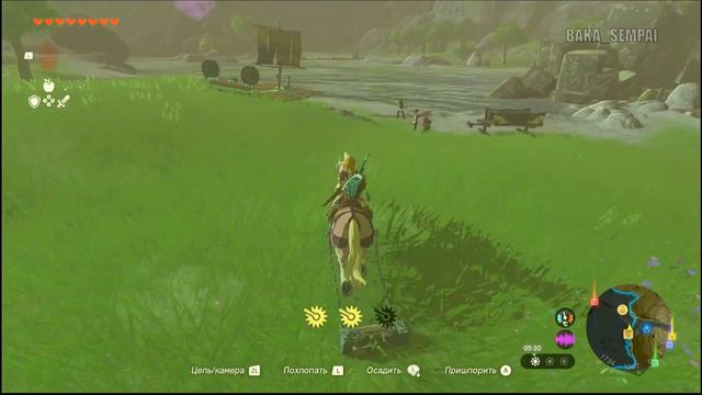 ФЕЯ КОТЕРА КОНЮШНЯ БЛИЗНЕЦЫ ☆ The Legend Of Zelda: TOTK ☆ 35