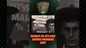 Почему ПВ КГБ СССР носили петлицы ВДВ?