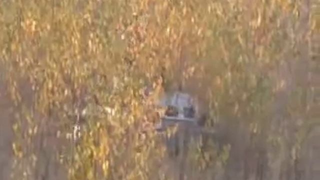 Барсик смотреть онлайн