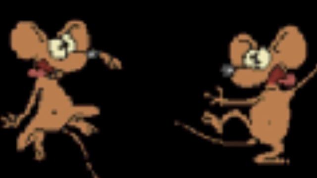 котовасия 2. смотреть онлайн