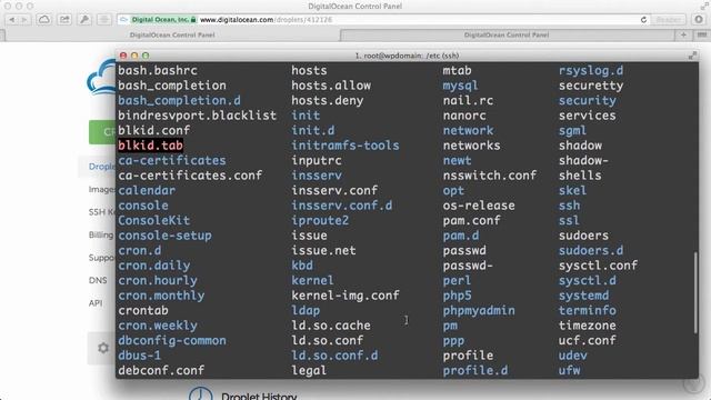 Quickly Installing Wordpress and Grabbing A Free Domain Name | DOCasts | Digital Ocean Screencasts смотреть онлайн