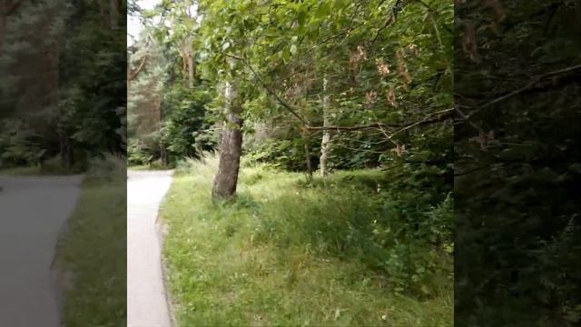 Серебряный бор, озеро Бездонное 5.08 2020 г. смотреть онлайн