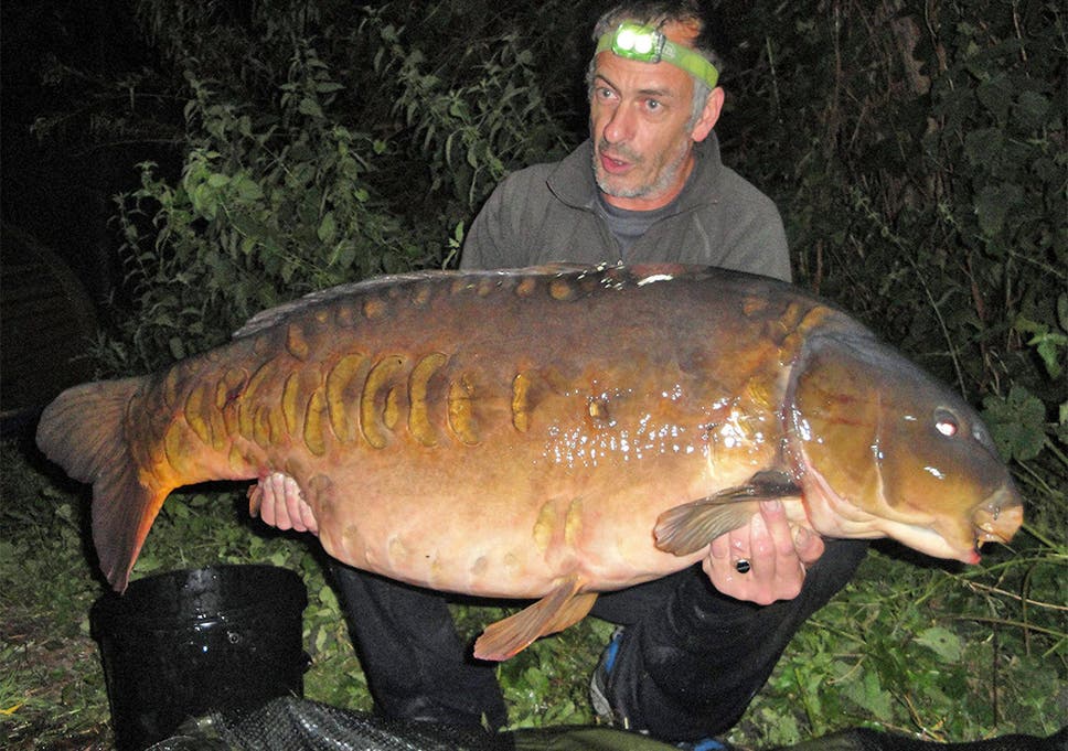 331.Трофеи 113.mp4 смотреть онлайн