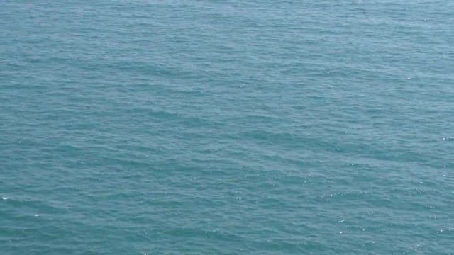 Болгария. Дельфины на мысе Калиакра смотреть онлайн