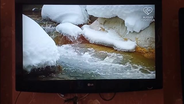 Устанавливаем RaspbianXP(WindowsXP) на Raspberry pi 4! смотреть онлайн