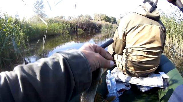 ЛУЧШИЕ воблера на ЩУКУ!!! Несколько советов от #неугомонногорыбака смотреть онлайн