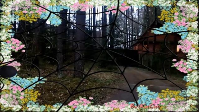 Веселая Сказка Песня про Новый Год. смотреть онлайн