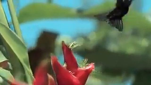 ♥§Удивительная♥Самая♥Красивая♥Природа§♥