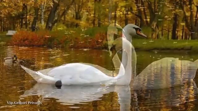 ОСЕНЬ. АВТОРСКАЯ ПЕСНЯ АНАТОЛИЯ КУЛАГИНА смотреть онлайн