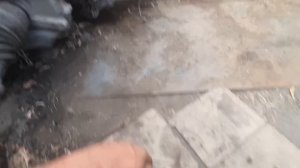 Vp44 взамен механической тнвд на ниссан пресаж YD25